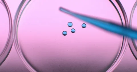 Macro of dripping drop of DNA sample molecules added to petri dish in laboratory Stock Footage 268449780