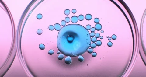 Macro of dripping drop of DNA sample molecules added to petri dish in laboratory Stock Footage 268451393