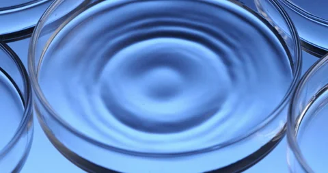 Macro of dripping drop of DNA sample molecules added to petri dish in laboratory Stock Footage 268451752