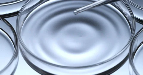 Macro of dripping drop of DNA sample molecules added to petri dish in laboratory Stock Footage 268452682