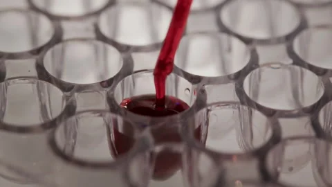 Macro of Drops of Red liquid Falling from Pipette into Well of Lab Test Plate Stock Footage 307936879