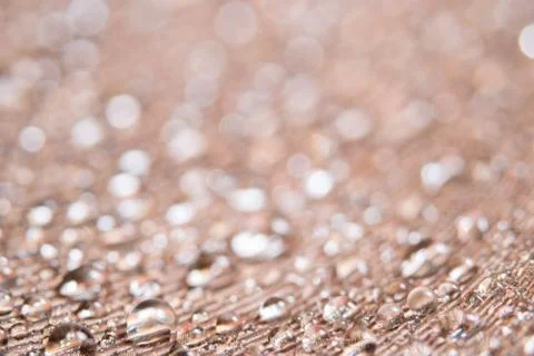 Macro drops of water on the feathers Stock Photos