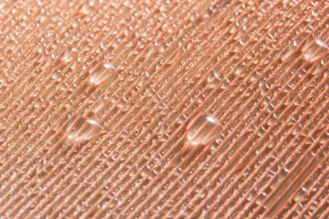 Macro drops of water on the feathers Stock Photos