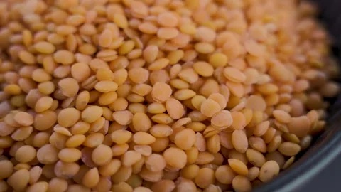 Macro dry orange lentils texture in black bowl low key 4k Stock Footage 340242434