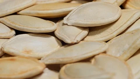 Macro dry pumpkin seed Stock Footage 229449390