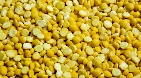 Macro of dry raw yellow pea lentils in bulk being spooned up with wooden uten Stock Footage 63511686