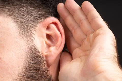 Macro ear of man with palm eavesdropping on secret information or secrets Stock Photos