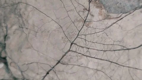 Macro Earthworm Casting And Root Veins On Rocky Cave Walls Stock Footage 333611869
