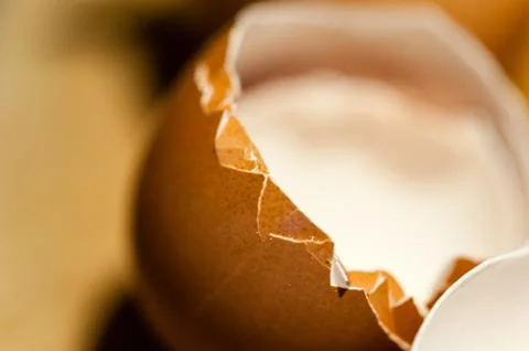Macro of edge of empty cracked brown egg shell Stock Photos