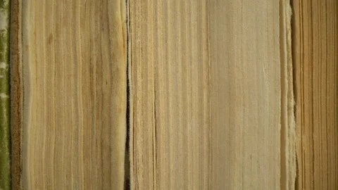 Macro edges of the pages of an old book. Stock Footage 148226259