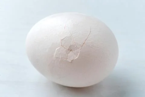 The macro of the egg skin or shell surface with a small crack on it Stock Photos