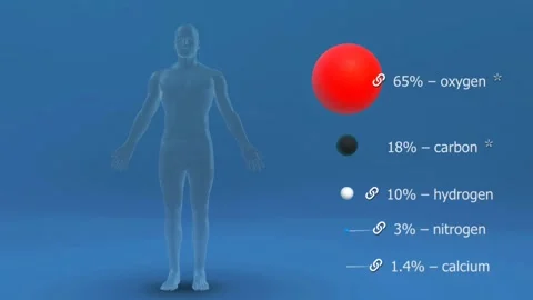 Macro elements of human body Stock Footage 302164146