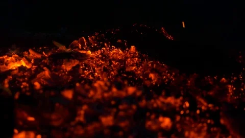 Macro Embers of Campfire at the Woods Video stock 85197955