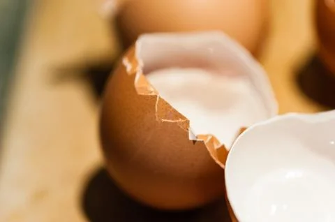 Macro of empty cracked brown egg shells 写真素材