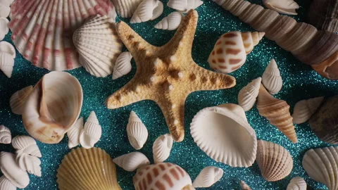 Macro of Exotic Seashells, Star on Blue Shiny Background - Elegant Ocean Beauty. Stock Footage 303360544