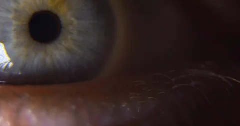 Macro Extreme Close Up eye pupil lashes wide open Stock Footage 102805818