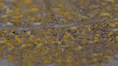 Macro Extreme Close-Up of Golden Brown Crepe Batter Texture Cooking on Griddle Stock Footage 345692655