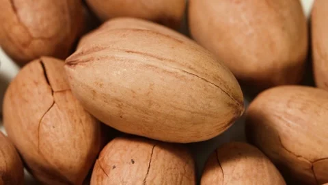Macro Extreme Close Up of Raw Pecan Nuts in Shell Stock Footage 340303110