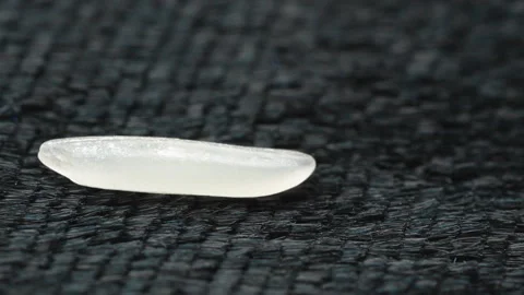 Macro Extreme Close-Up of Single ST25 Rice Grain on Black Fabric Background Stock Footage 321264111