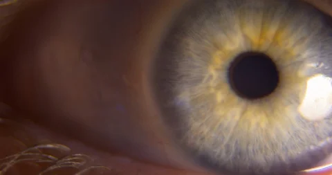 Macro Extreme Close Up wide open eye iris pupil dilation Stock Footage 102798799