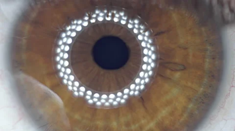 Macro extreme cu eye iris, pupil, contracting, eye light reflection. Stock Footage 55308678