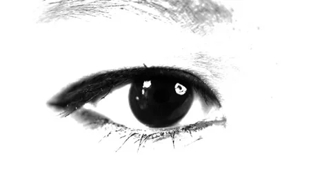 Macro eye in black and white Stock Footage 37712740