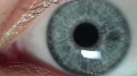 Macro Eye Closeup Stock-Footage 44711049