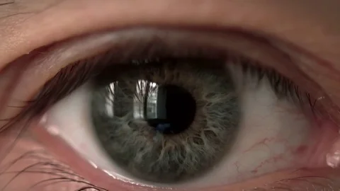Macro of eye Stock Footage 74624630