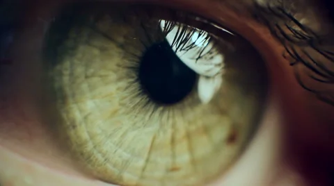 Macro Eye Iris 3 Stock Footage 48318325