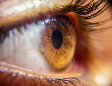 Macro of eye Stock Photos