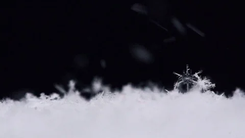 Macro fallen crystal snowflakes Stock Footage 72790360
