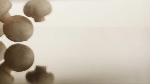 Macro falling mushroom Video stock 70059207