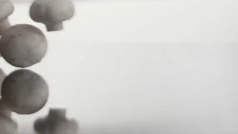 Macro falling mushroom Stock-Footage 70277499