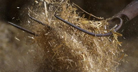 Macro of farmer collecting with pitchfork haystack of organic bio hay at farm Stock Footage 268233132