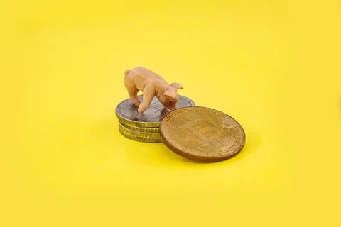 Macro farmer figures mining of bitcoins. Virtual cryptocurrency mining concep Stockfoto's