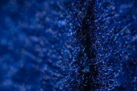 Macro Felt Material Stock Photos