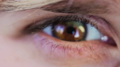 Macro filming hazel brown eye 動画素材 73990290