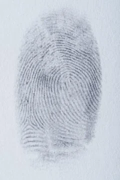 Macro of fingerprint Stock Photos