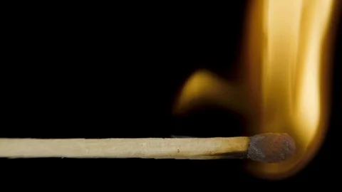 Macro fire burning on matchstick, studio shot isolated on black background Stock Footage 100583999