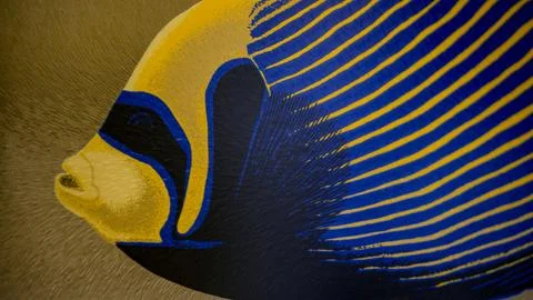 Macro - Fish painted on glass Stock Photos