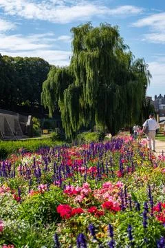 Macro on Flower Foto stock