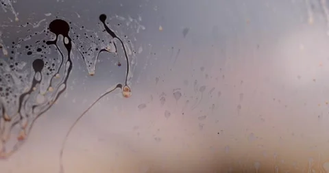 Macro Fluid Motion on Soap Bubble Surface with Iridescent Rainbow Colors in Stock Footage 346168575