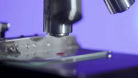 Macro focus on blood sample in microscope Stock Footage 140822779