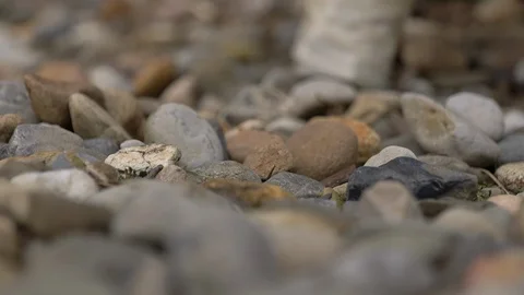 Macro focus on bride’s bouquet outside on rocks Stock-Footage 114369275