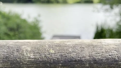 Macro focus pull over weathered wood grain Video stock 334760152