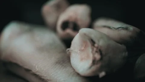 Macro Focus Shift Across Frozen Hake Fish Carcasses In Dark Studio Lighting Stock Footage 330301162