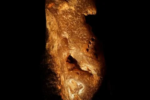 Macro Focus Stacking of Fossilized Amber Resin with Trapped D Stock Photos