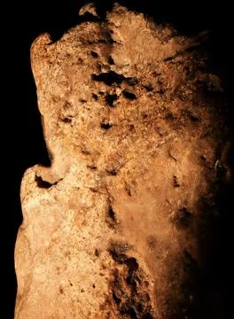 Macro Focus Stacking of Fossilized Amber Resin with Trapped D Stock Photos