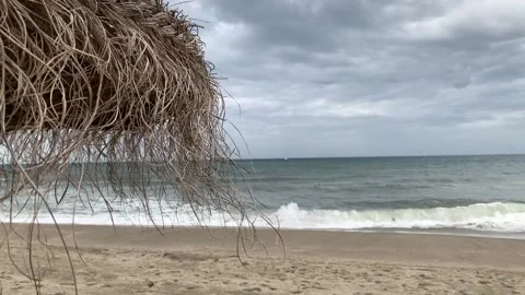 Macro Stock Footage 304964335