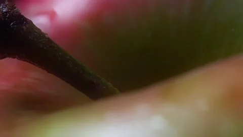Macro footage of a an apple on a white background Vidéo 164997899